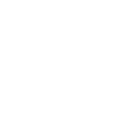 CEAT